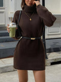 Turtleneck Long Sleeve Sweater Dress - Brown